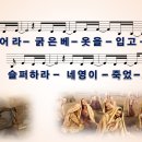 울어라 / 울어라 굵은 베옷을 입고 [어노인팅 예배캠프 2024] 이미지