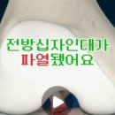 (주)엘인케이 이미지