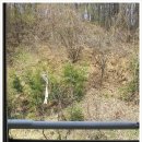 오포현대공인중개사사무소 이미지