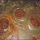 잣나무약수터 이미지