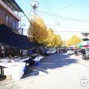 천지장 Daum카페