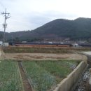 후계자축산 이미지