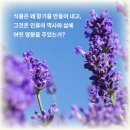 [향기 · 엘리스 펄스턴] 식물이 빚어낸 매혹적이고 경이로운 이야기