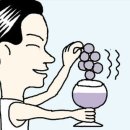 리빙95