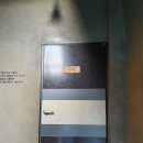 울릉도 여행 숙소 추천: 인앤인펜션 후기(+ 내돈내산)