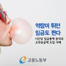 P-7524 이미지