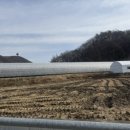 태규농장 이미지