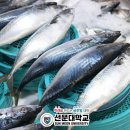 한국수산질병관리원 이미지