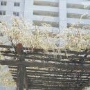 신미주공인중개사사무소 이미지