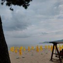 진하목장 이미지