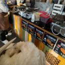 총각네 강아지 이미지