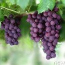 (주)드리고 이미지