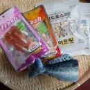 고등어아가씨 이미지