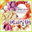 삼화장식 이미지