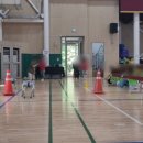 영서초등학교 이미지