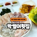동래막썰어횟집과산오징어해물탕 | 부산 온천동 횟집 동래 모듬회 맛집 온천동 막썰어횟집
