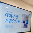 경성대승무원학원 / 항공과 입시부터 객실승무원 합격까지 (현직 특강후기)