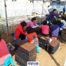 명품꽃마을 의양신문