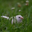 약사수변공원 이미지