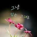 한양삼십리누리길 이미지