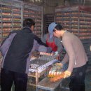 대영농원 이미지