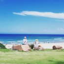 사진을 찍다 이미지