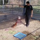 동림목장 이미지