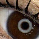 그로우속눈썹 이미지