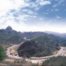 충청남도 금산군 남일면행정복지센터 | 4월 여행. 봄꽃 명소. 인기 추천 베스트 가볼만한 곳