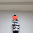 비이스트플로우 후기