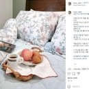 이불상설할인매장