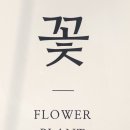 메이씨엘 - 강남구 논현로136길 3 | 메이씨엘