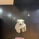 키다리앤과자점 | 뮤지컬 고스트 베이커리