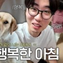 포캣
