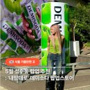 성수 팝업스토어 추천 내맘데로 데미소다 팝업 성수동 주말 데이트