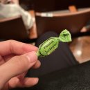 H-2 | 예술의전당 콘서트홀 가는법 B석 합창석 H블록 2열 시야 좌석 및 공연 관람 후기