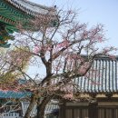 양산IC(통도사) 이미지