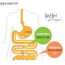리브퓨어