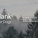 멍스 크로스 이미지