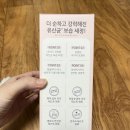 바디닥터 | 내돈내산 임산부 바디워시 닥터바이오 에코 올인원 클렌저 후기