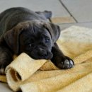 통합예술치유 프로그램 이미지