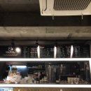 살모스231