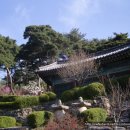 세심사 이미지