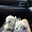 핑키펑키 전북대점 이미지