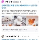 에버그린 펫 클리닉 이미지