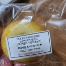 율전동물병원 | 3월 셋째, 넷째, 다섯째 주 캐뽀리의 일상 ♥