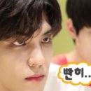 뿔레뿔레 이미지