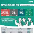 부산시 코로나19 환자 현황 및 국내 현황(3.14. 11:00 게재) 이미지