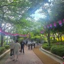네바퀴정비마을 | 울산 장생포 수국축제 입장료 및 개화시기 현황보고 다녀온 후기