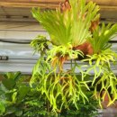 고란농장 이미지